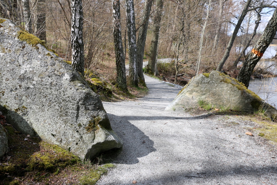 Grusad led som går mellan stenar och träd.