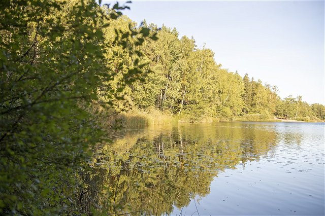 Långsjön naturreservat