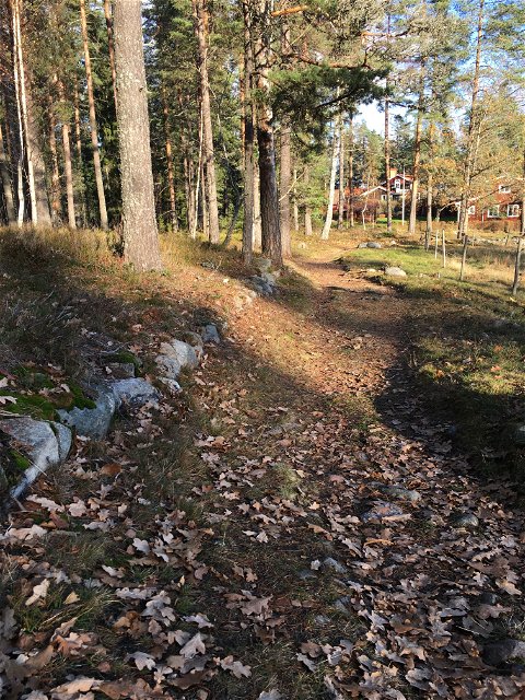 Den gamla stenförstärkta stigen mellan Falun och Borlänge