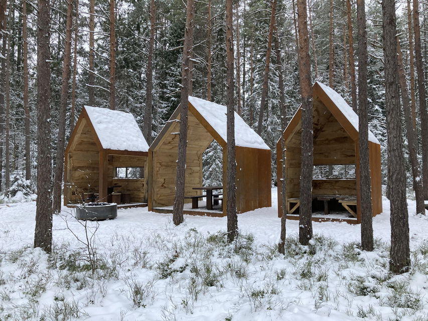 Tre vindskydd på en skogsvuxen mosse i vinterskrud