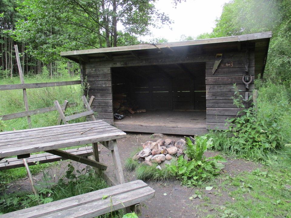 Rastplats med vindskydd, eldstad och bord med bänkar.