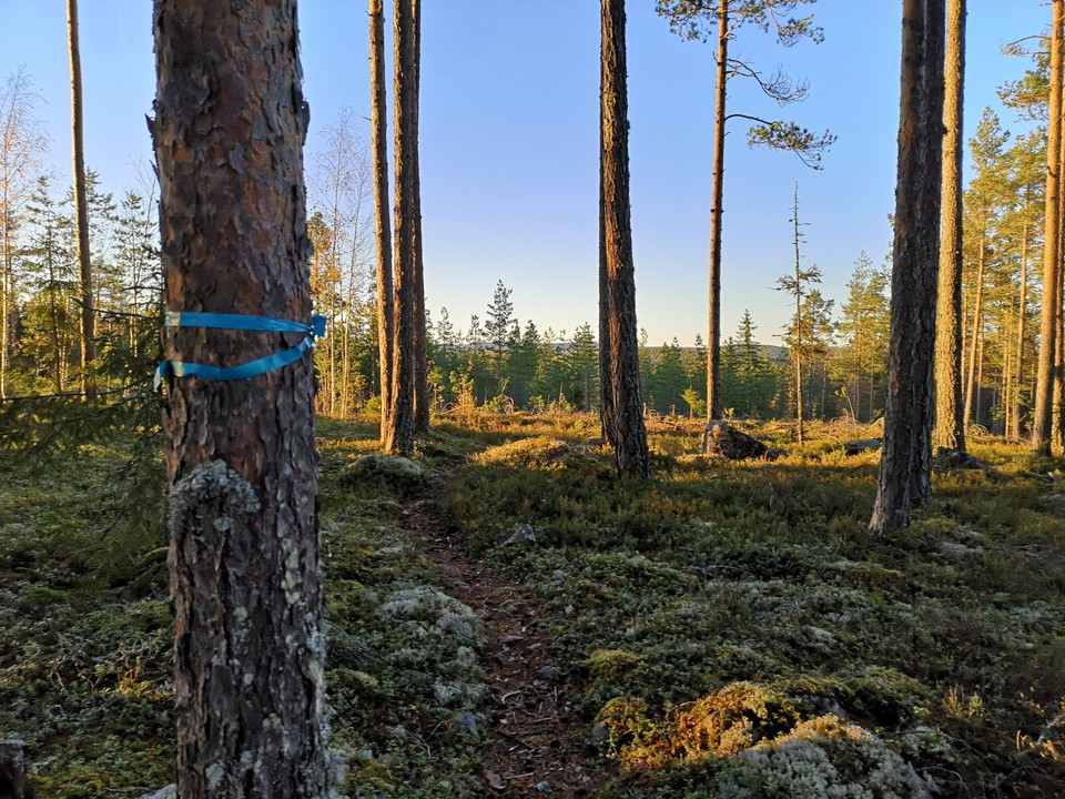 Moraberget