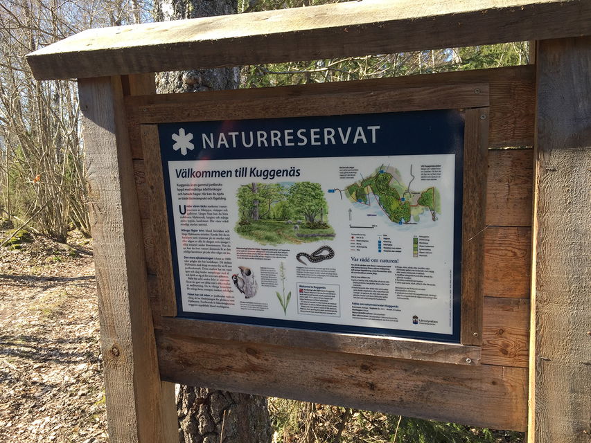 Informationstavla i vårig lövskog.