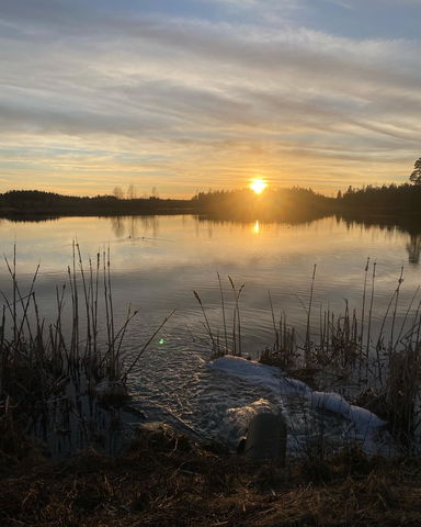 Våtmarken vid reningsverket