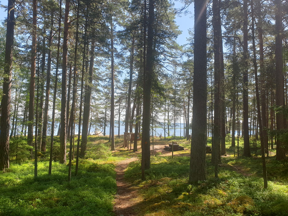 Vandra på öar i Vänern