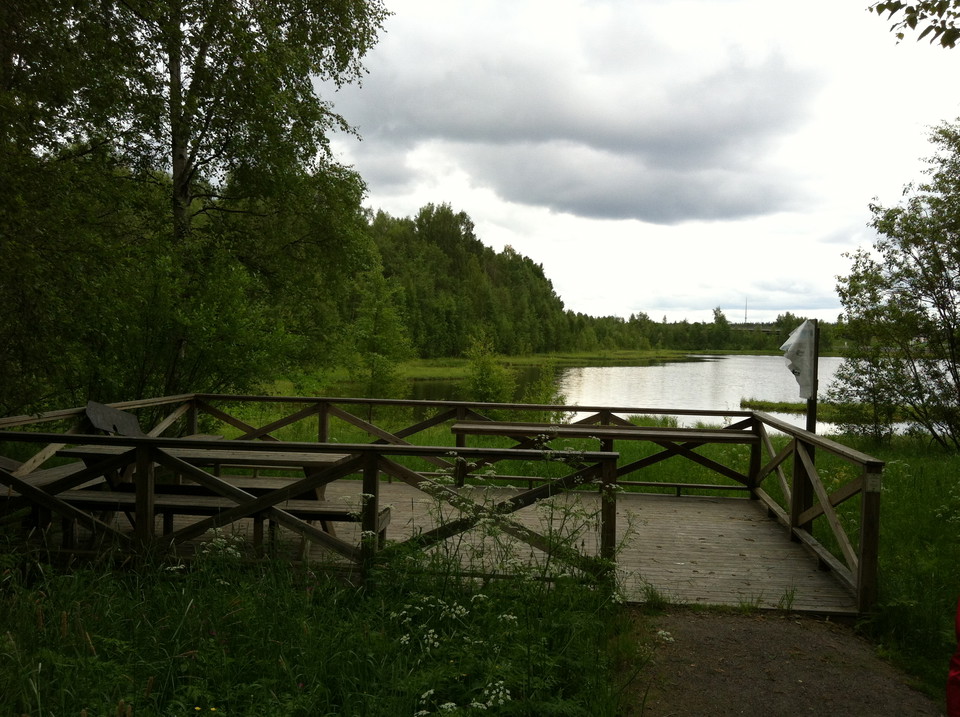 Brygga för fågelskådare
