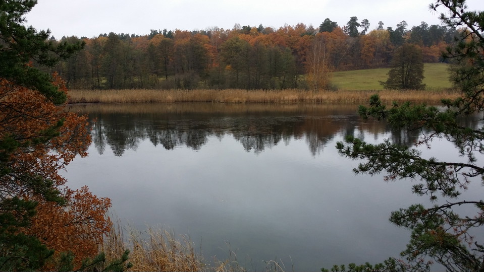 Västra delen av Gråviken sedd från utsiktsberg. Foto Lidingö stad