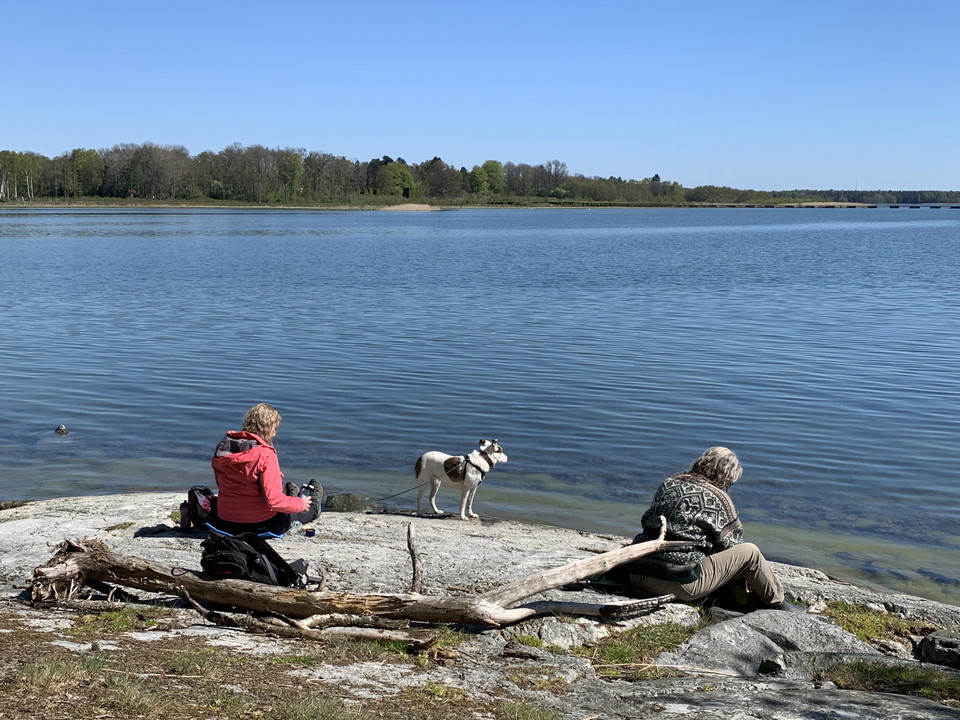 Fikapaus på Killingen. Hunden får följa med kopplad.
