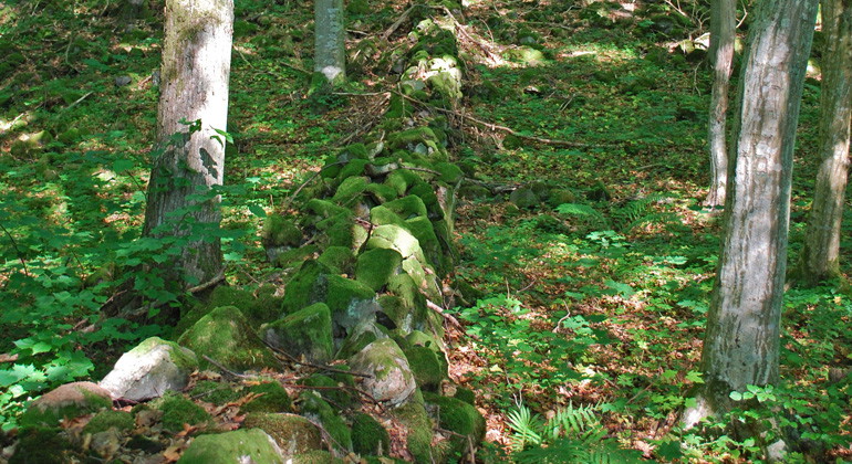 Stenmur.