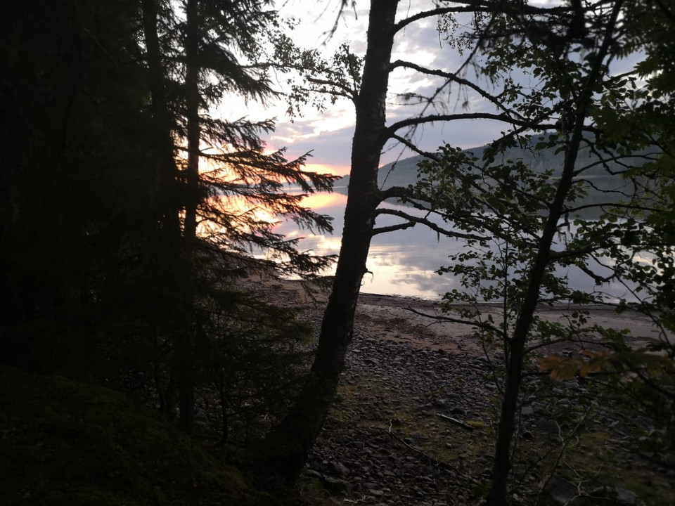 Norrdellen vid Hallboviken