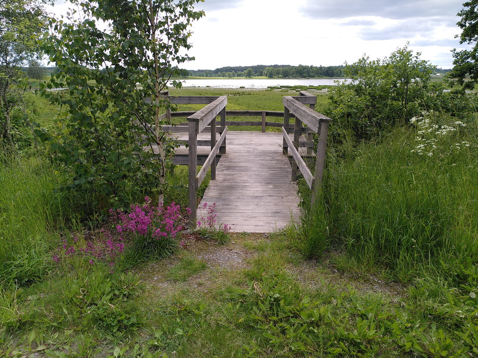 Fågelskådarplats Vadsjön nordost
