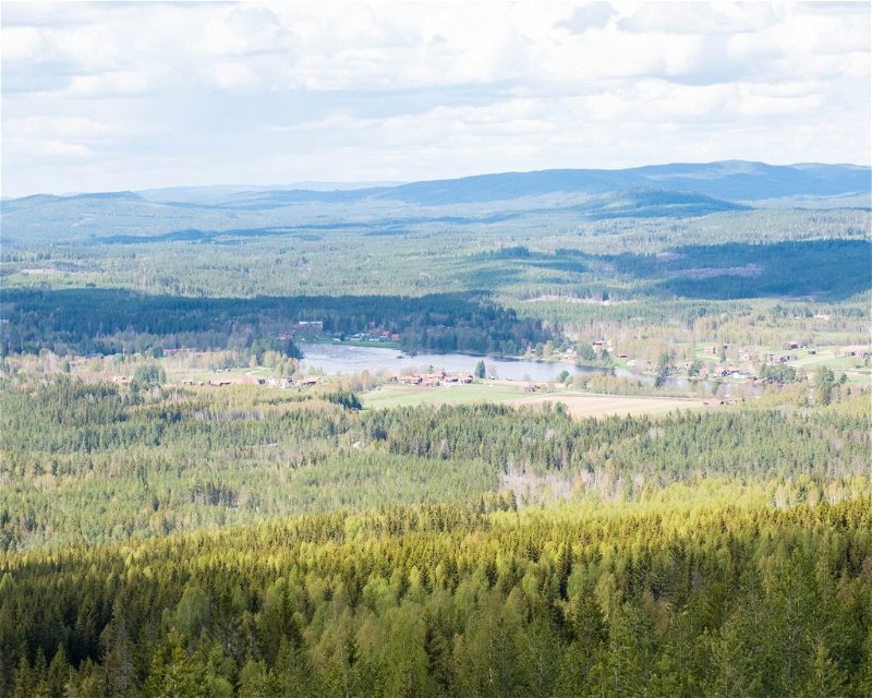 Utsikt över del av Fäbodledsområden 10, Mejdåsen sett från åsen ner mot Fänforsen. 