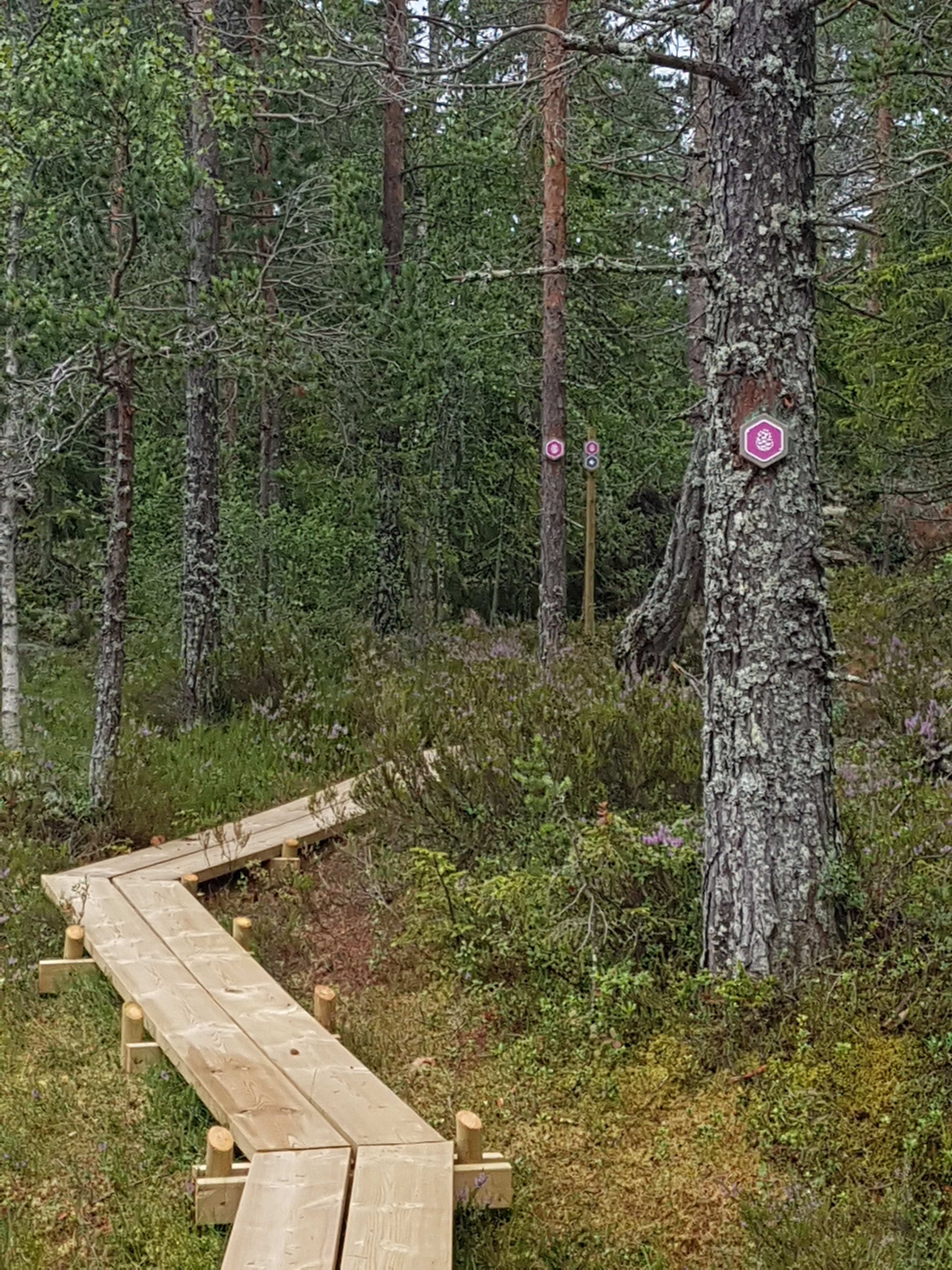 Södra Bergets Naturstig