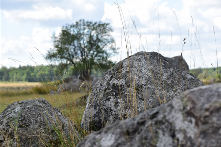 Tre stora stenar ligger på en ängsmark