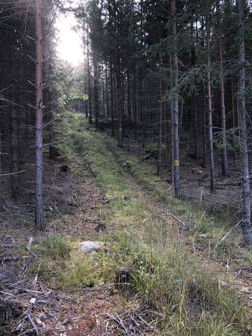 3. Kycklingebacken
