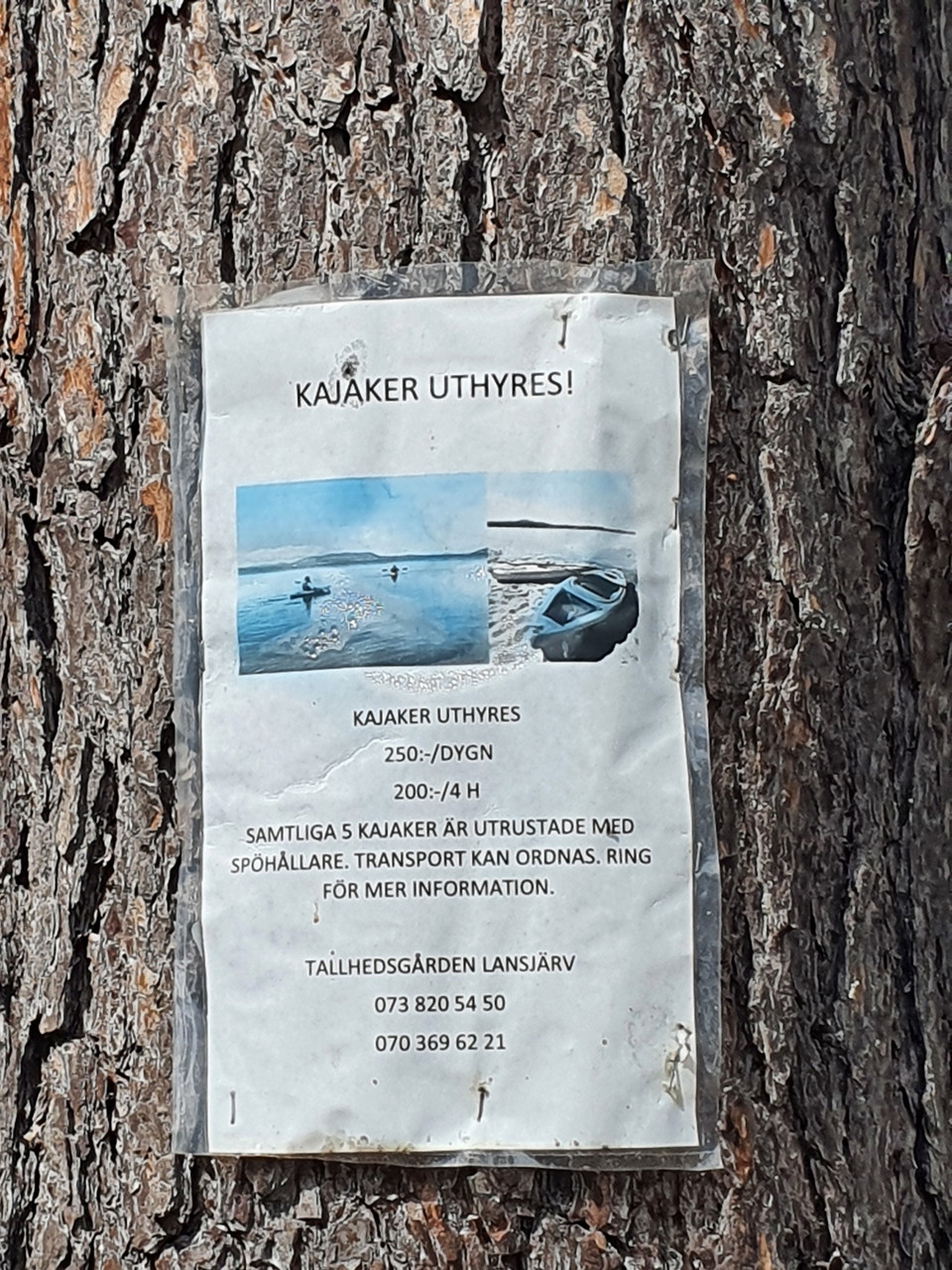 Kayak rental is possible