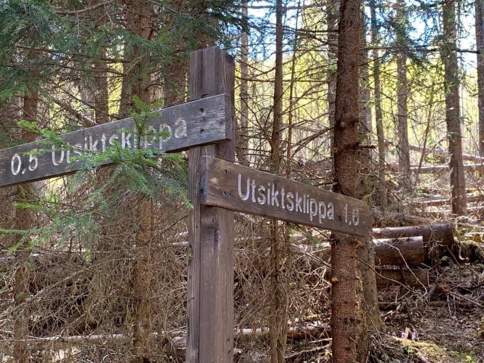 Vägvisare