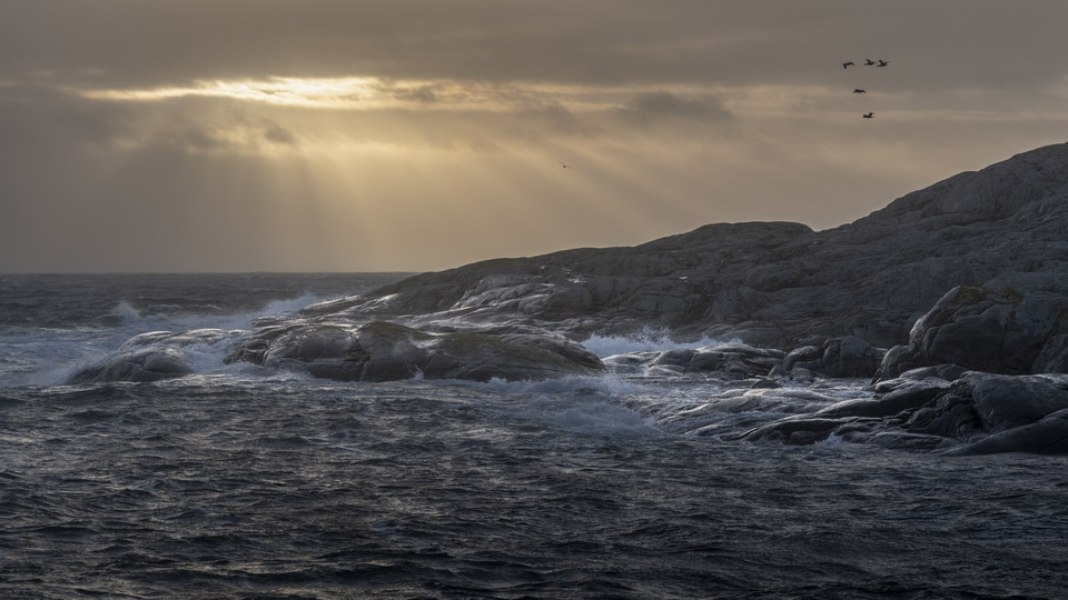 Klippor, Kosterhavets nationalpark