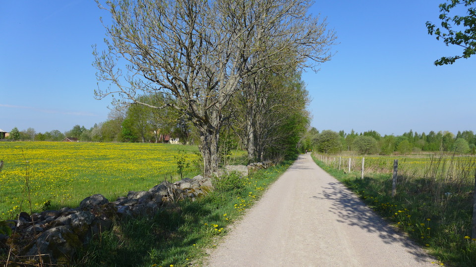 Tre cykelleder passerar