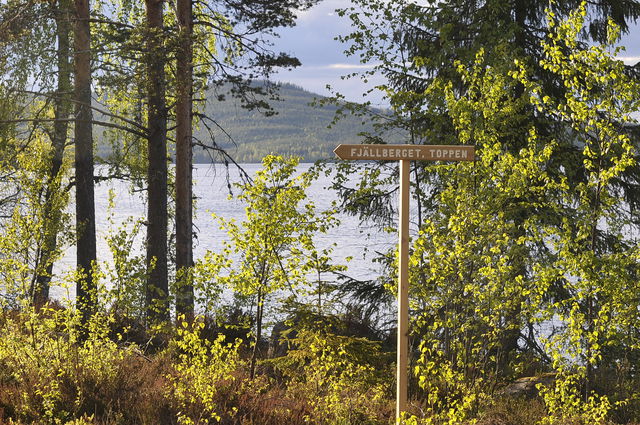 Stigar, Fjällberget
