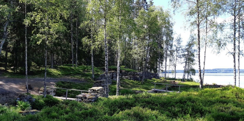 Grönska vid en sjö