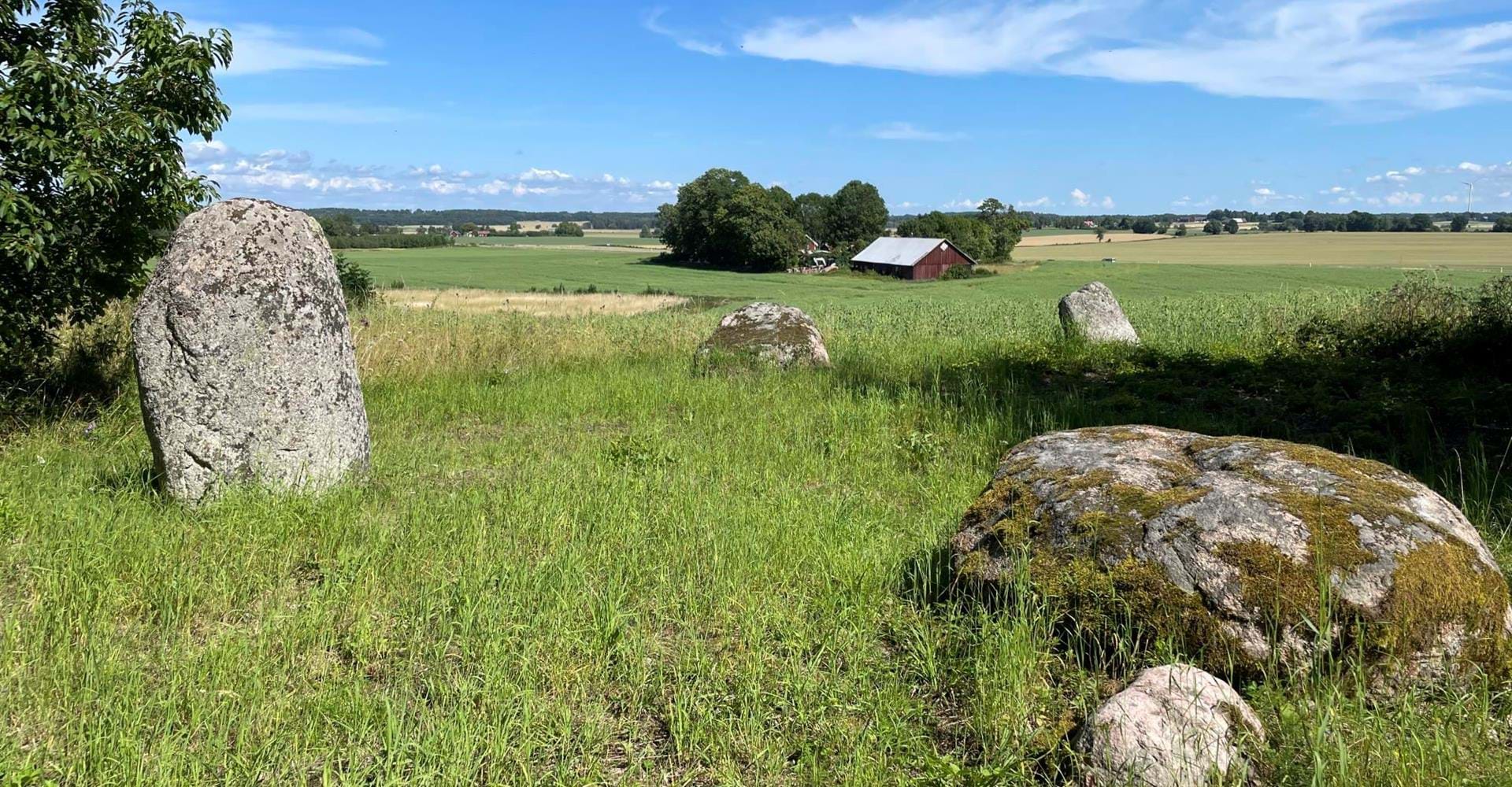 Långvrån, domarring