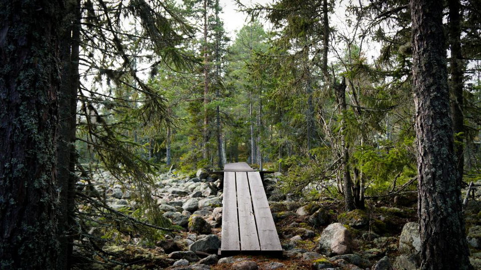 Träbro i skogen vid ett stenigt parti på cykelled