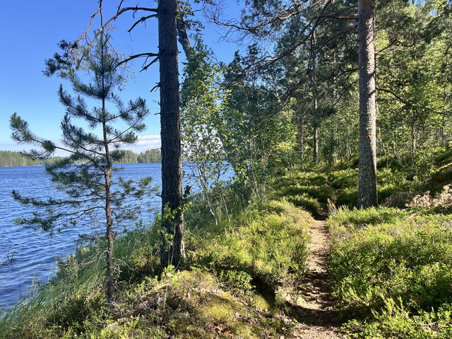 Vid Långsjön kan du nästan nudda vattnet när du vandrar.