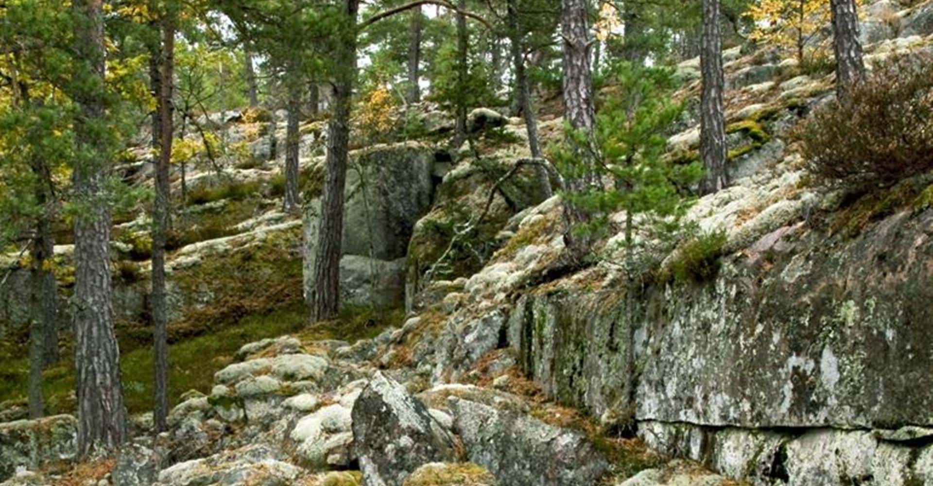 Ekhultebergens Naturreservat