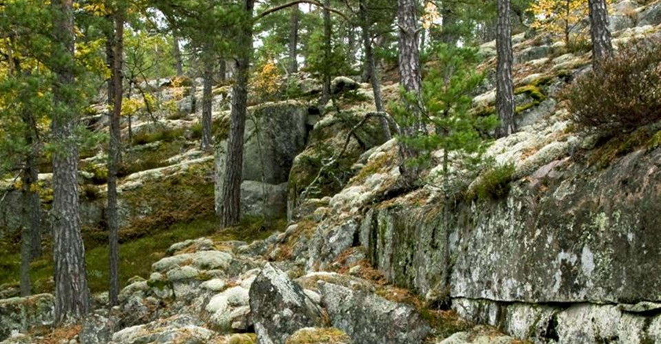 Ekhultebergens Naturreservat