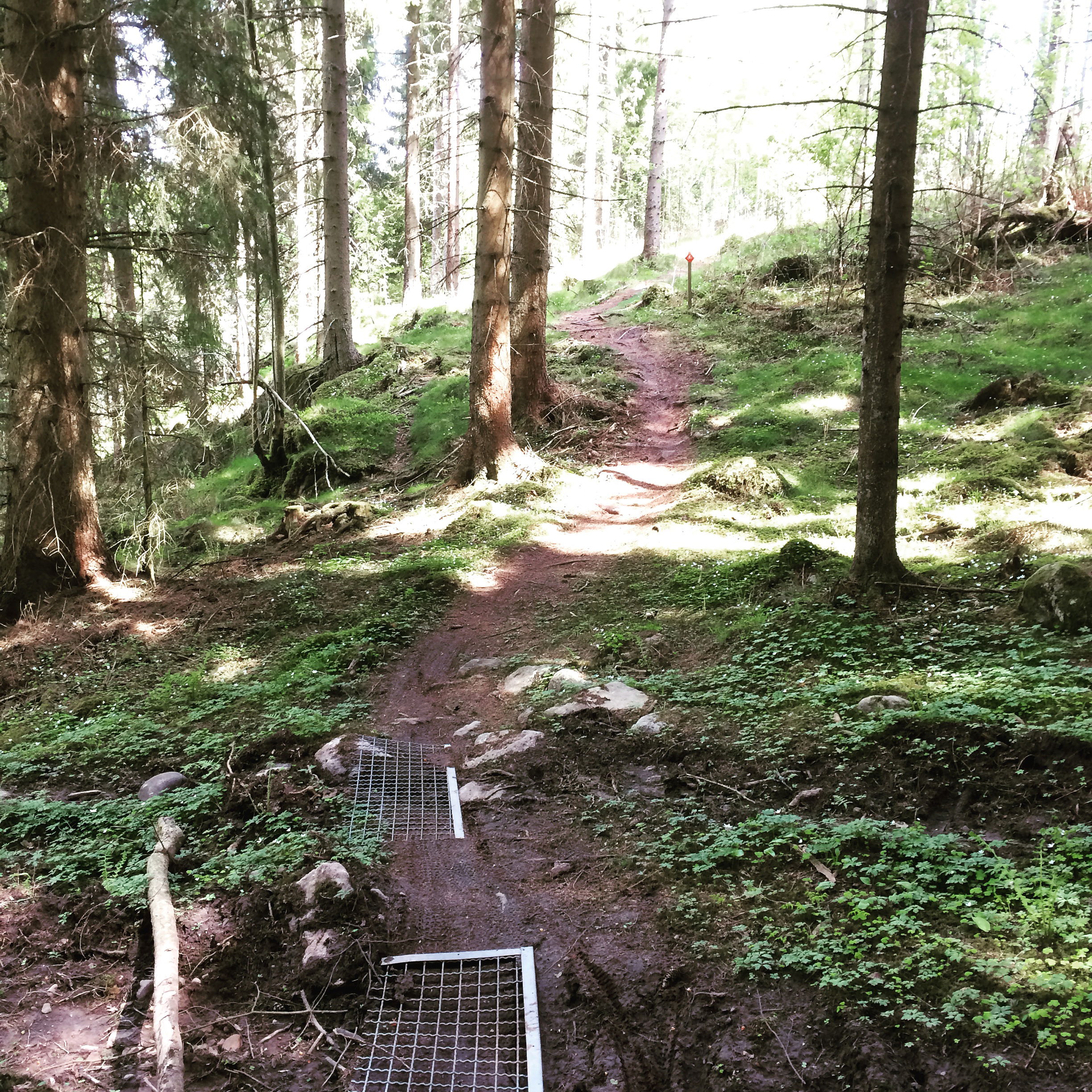 Tenhults SOK:  MTB-bana