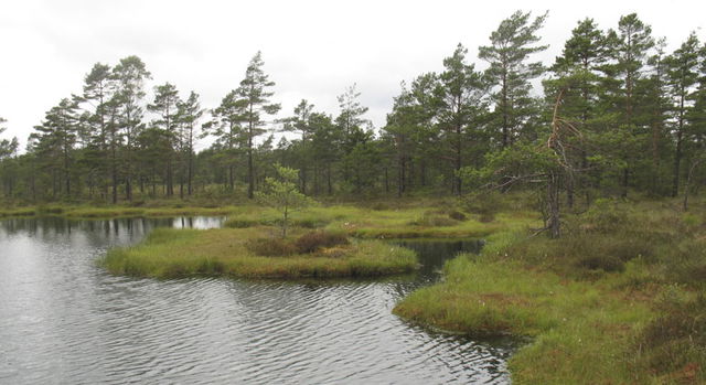 Mogölsmyren, Naturreservat