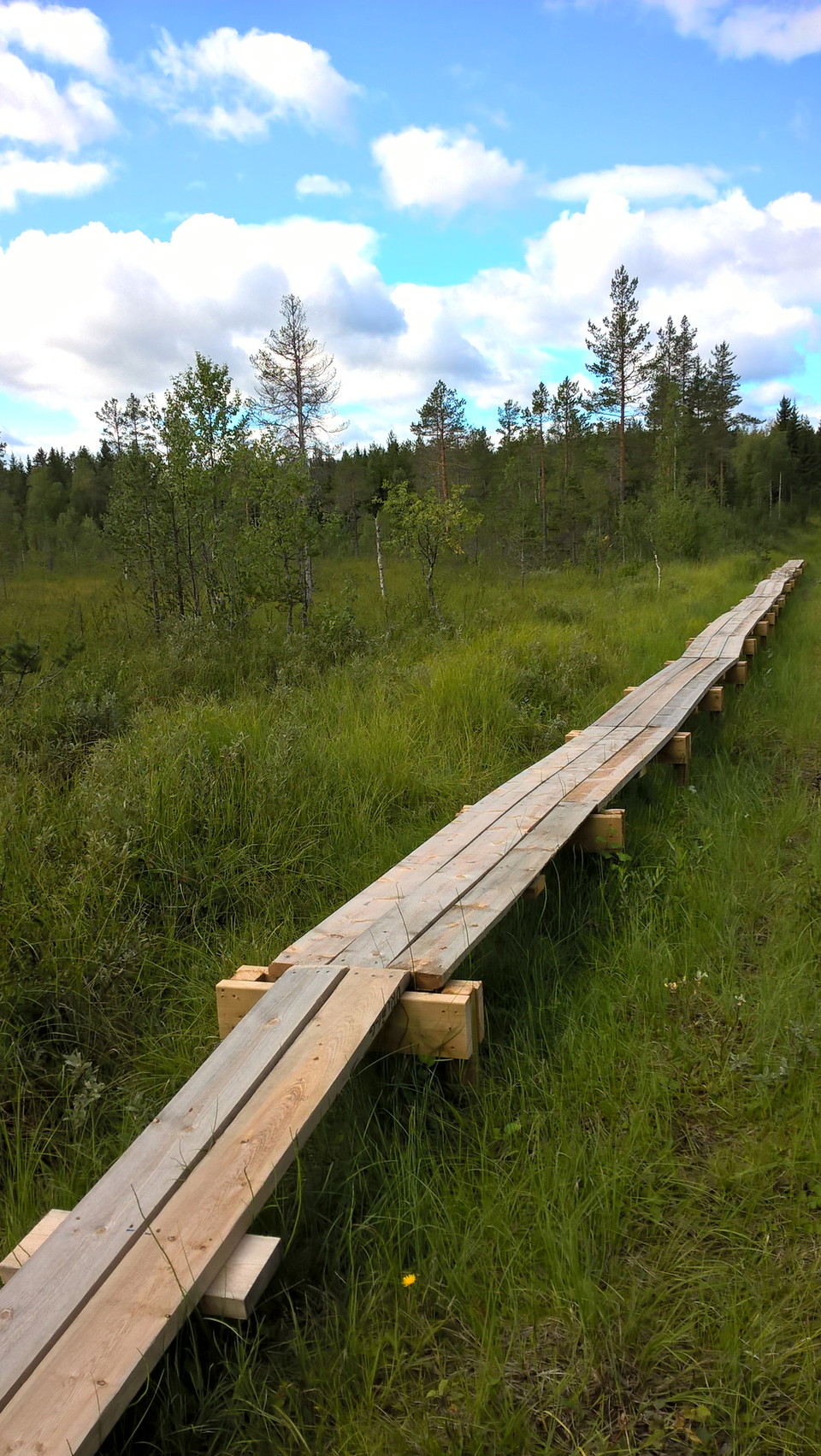 Hike through forests and across bogs and meadows.