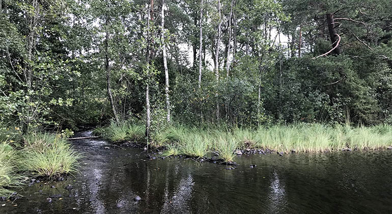 Trösälven vid Hållsjöhyttan.