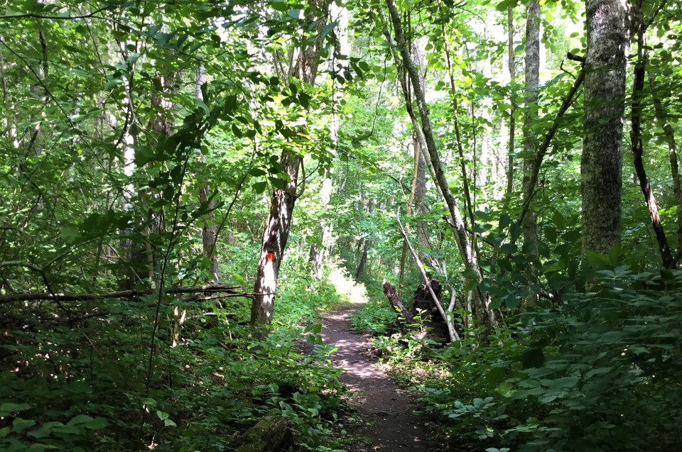 Leden går genom ett varierat landskap.