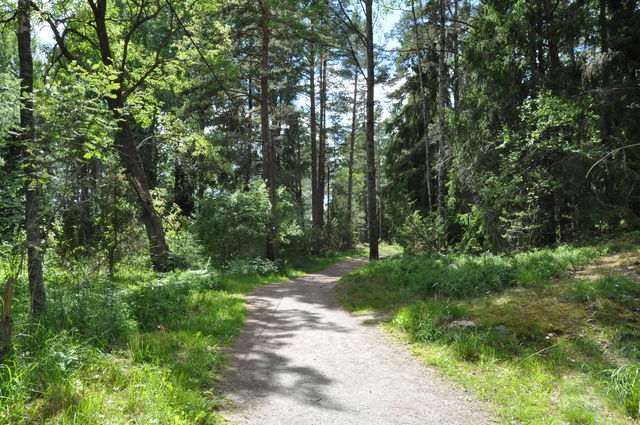 10 km, motionsspår, Domarudden
