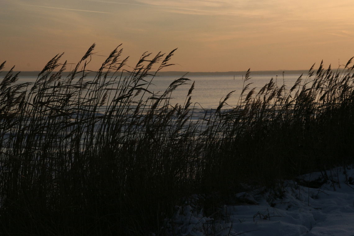 Solnedgång över havet.