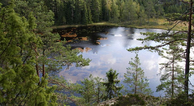 Rövarbro skans, Naturreservat