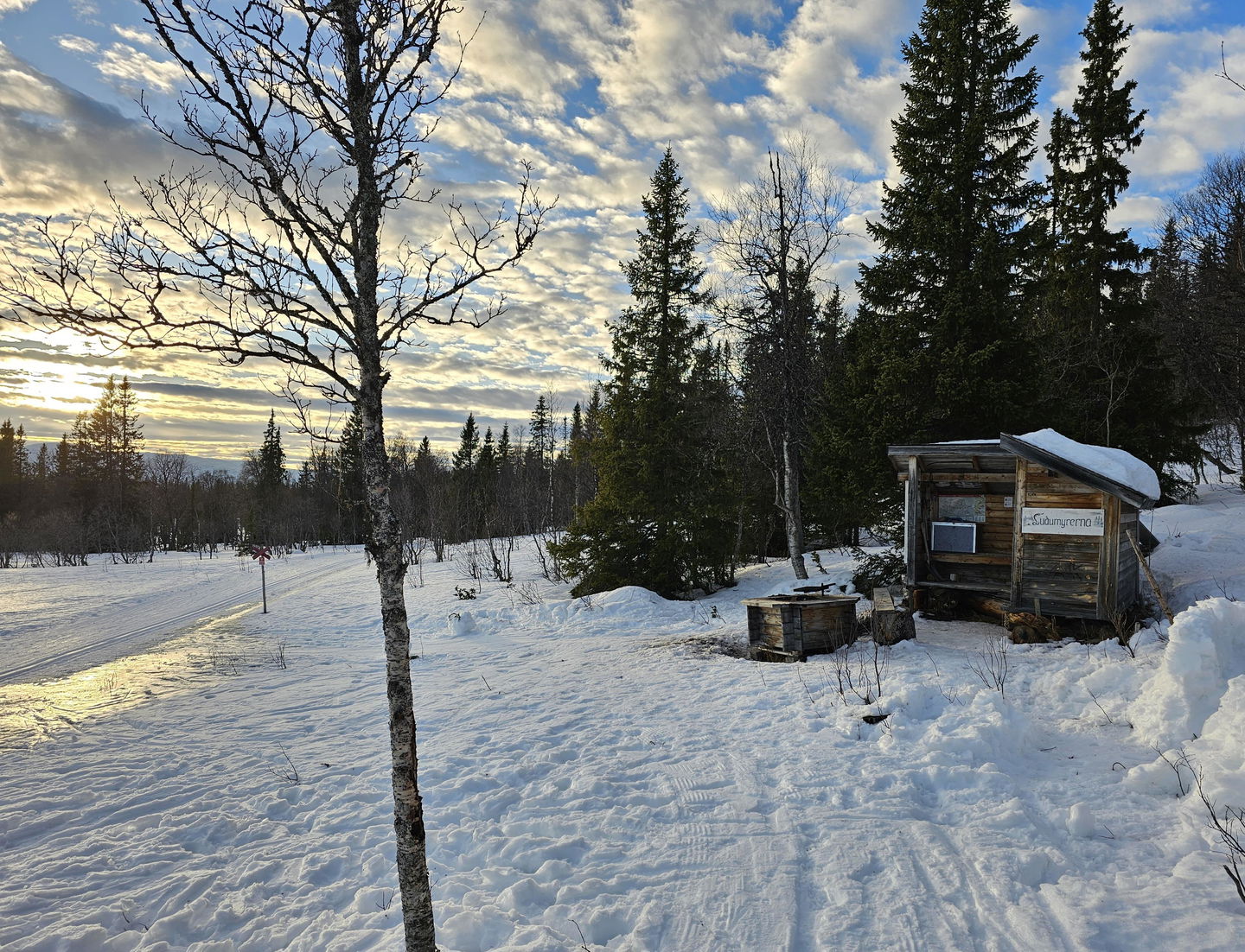 Vindskydd i skogskanten med passerande skidspår vid sidan av