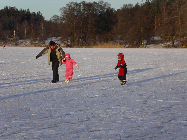 Vallentunasjön - Skrinna en vikingaled