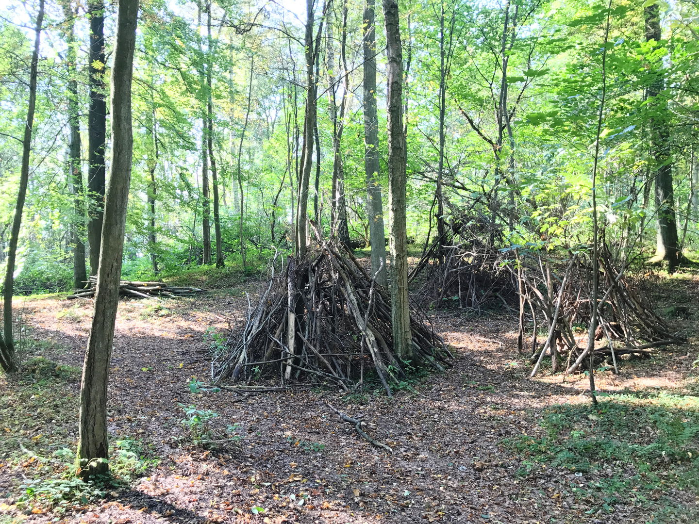 Kojbygge i Drömskogen