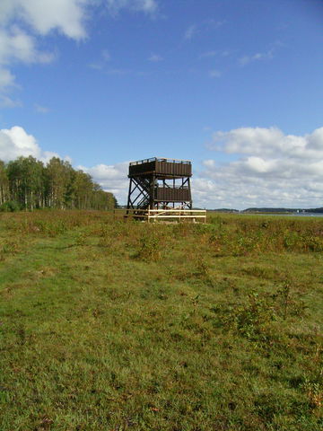 Fågeltorn, Sandemar