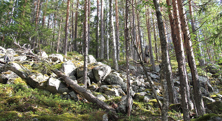 Forstjärnberget.