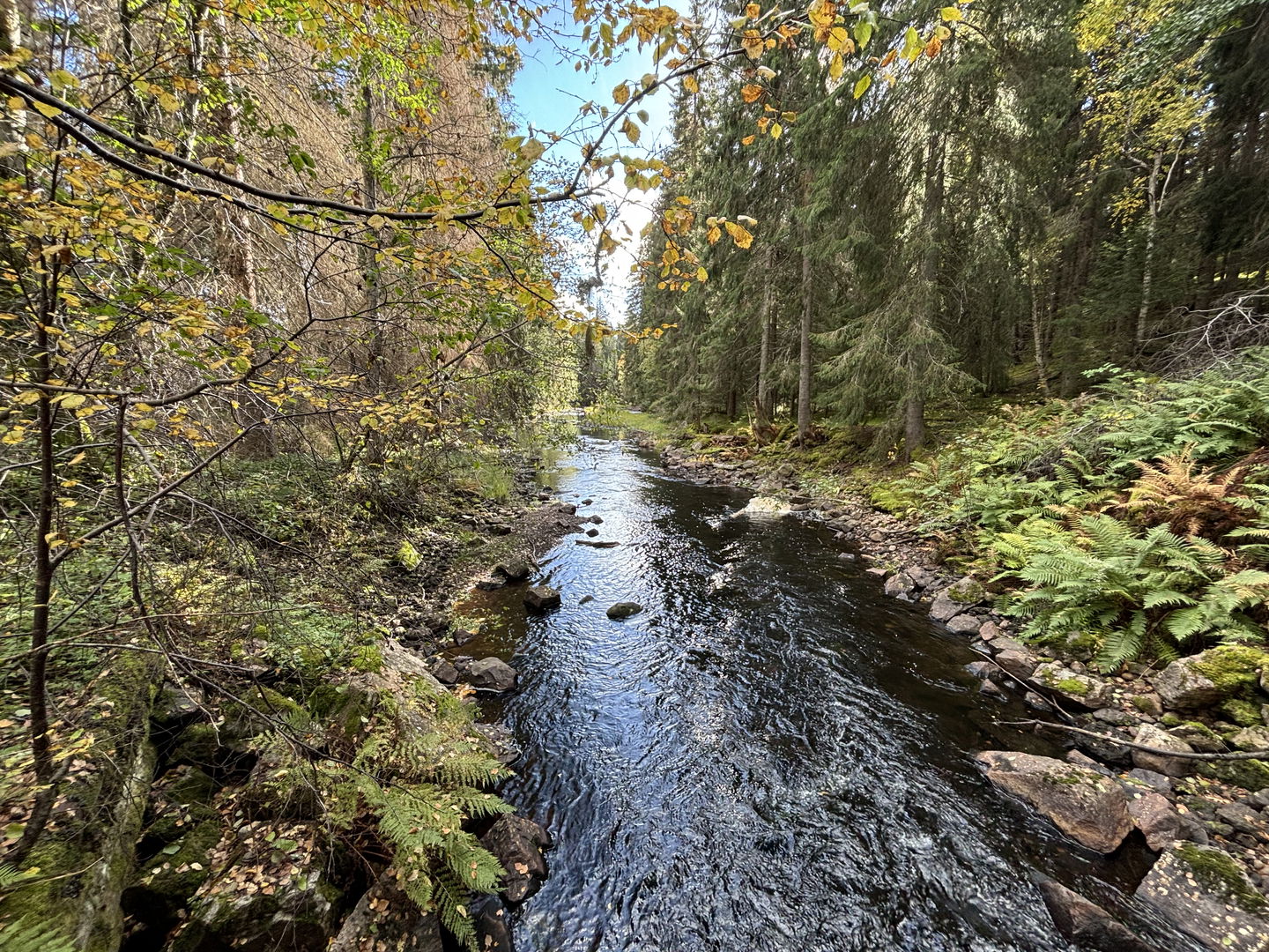 Lumsån/Hedströmmen