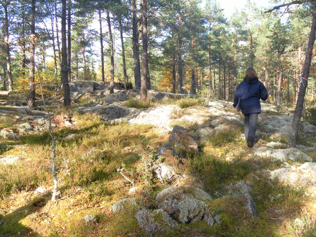 Fornborg, Borgardalsbadet