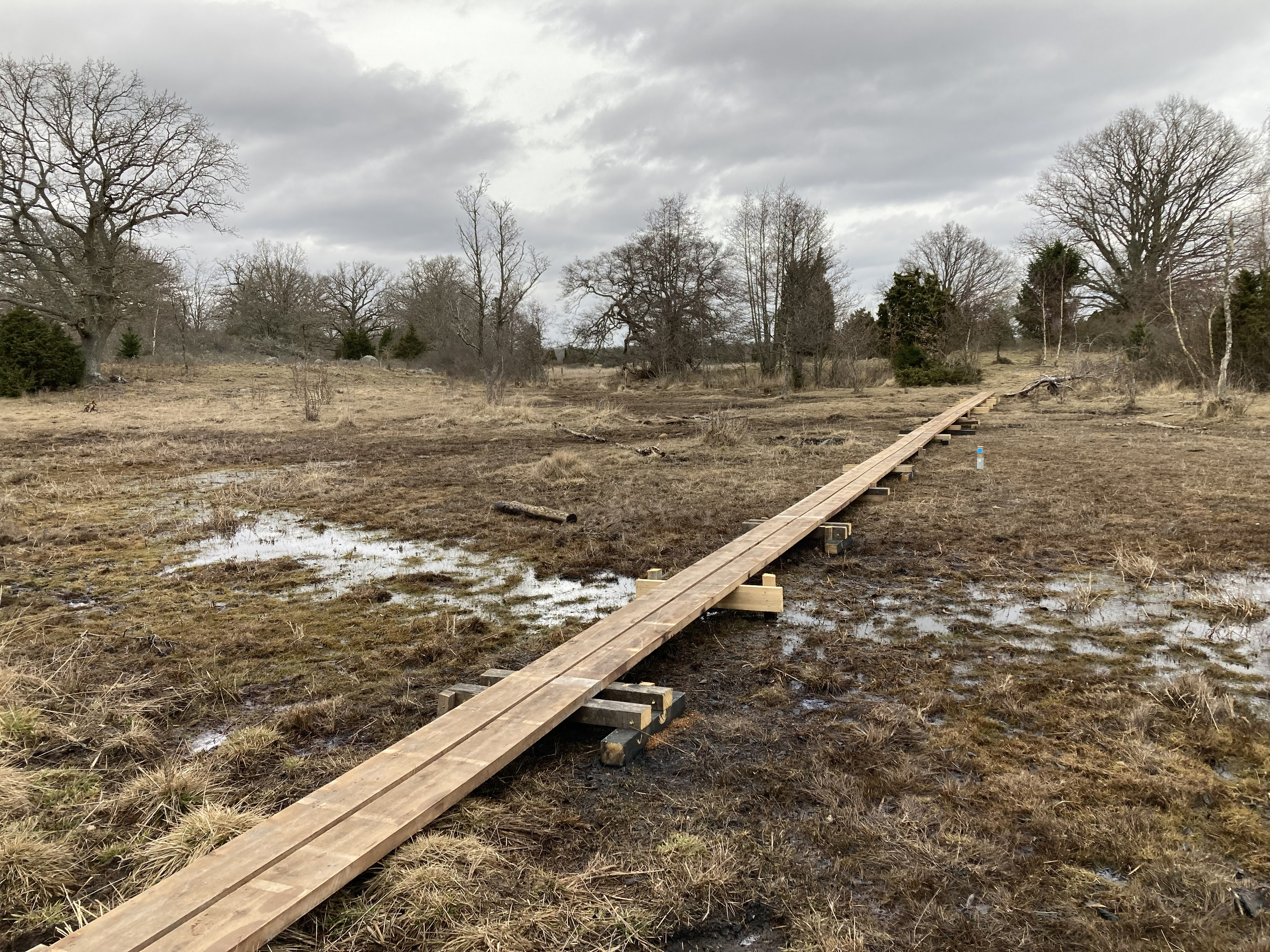 Spångad led över strandäng