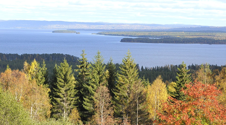 Vy över Limåviken och Olsnäsviken