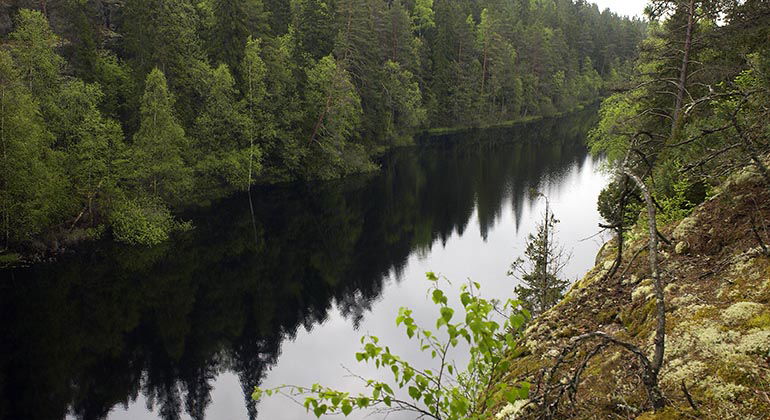 Dovrasjödalen, Naturreservat