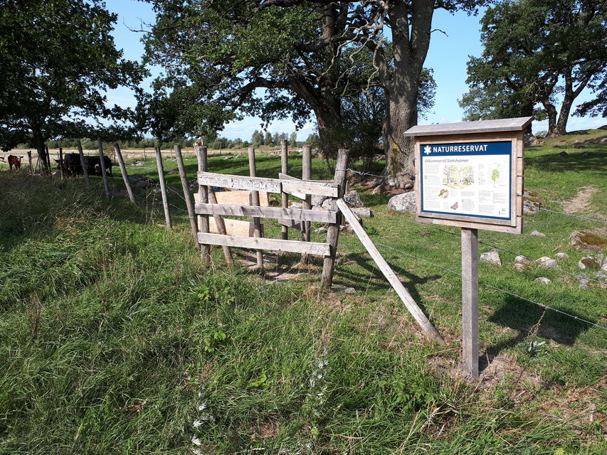 Informationstavla i naturen, ett staket bakom.