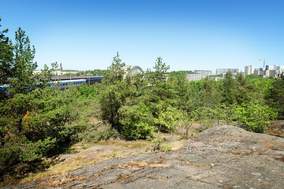 Utsikt i västra delen. Foto: Johan Pontén